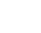 Brand Logo 2